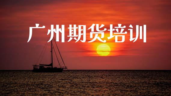 广州期货培训_https://cj004.lansai.wang_金融监管_第1张
