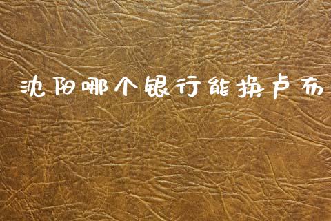 沈阳哪个银行能换卢布_https://cj004.lansai.wang_财经新闻_第1张