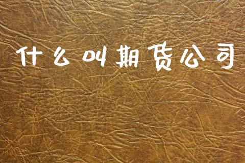 什么叫期货公司_https://cj004.lansai.wang_全球市场_第1张