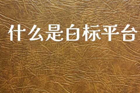 什么是白标平台_https://cj004.lansai.wang_金融监管_第1张