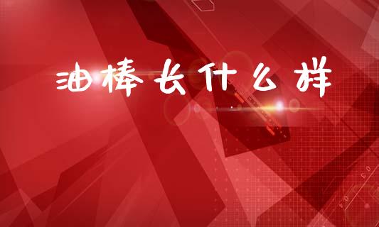 油棒长什么样_https://cj004.lansai.wang_财经新闻_第1张