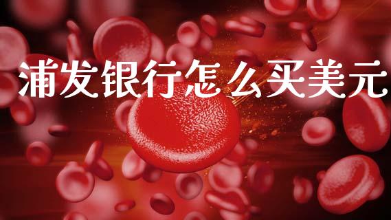 浦发银行怎么买美元_https://cj004.lansai.wang_债券资讯_第1张