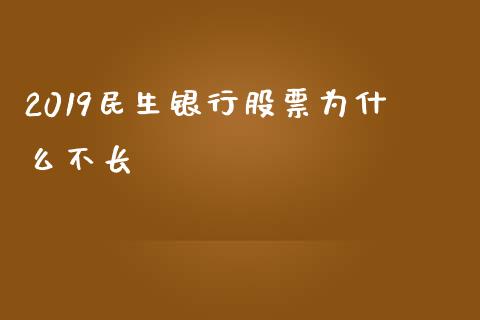 2019民生银行股票为什么不长_https://cj004.lansai.wang_财经新闻_第1张