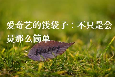 爱奇艺的钱袋子：不只是会员那么简单_https://cj004.lansai.wang_外汇交易_第1张