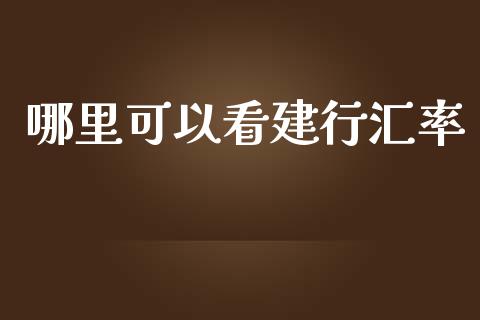 哪里可以看建行汇率_https://cj004.lansai.wang_外汇交易_第1张