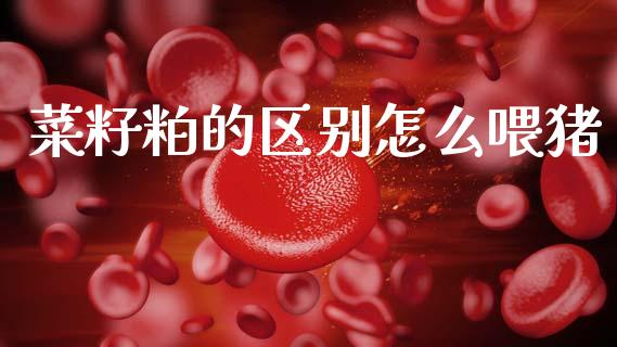 菜籽粕的区别怎么喂猪_https://cj004.lansai.wang_全球市场_第1张