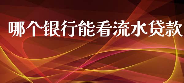 哪个银行能看流水贷款_https://cj004.lansai.wang_金融监管_第1张