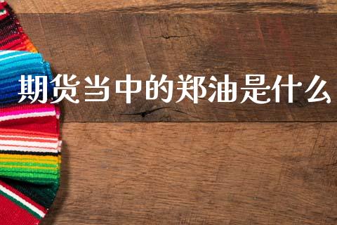 期货当中的郑油是什么_外汇交易_第1张_期货开户_金融监管_外汇交易_债券资讯_全球市场_财经新闻 期货当中的郑油是什么_https://cj004.lansai.wang_外汇交易_第1张