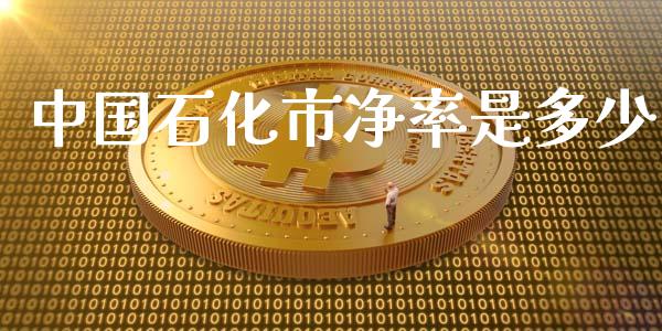 中国石化市净率是多少_https://cj004.lansai.wang_金融监管_第1张