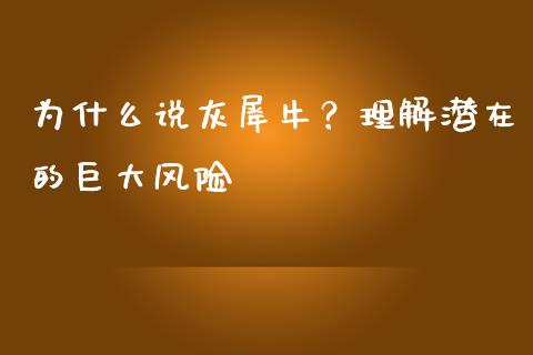 为什么说灰犀牛？理解潜在的巨大风险_https://cj004.lansai.wang_期货开户_第1张
