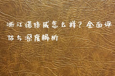 浙江诺倍威怎么样？全面评估与深度解析_https://cj004.lansai.wang_期货开户_第1张