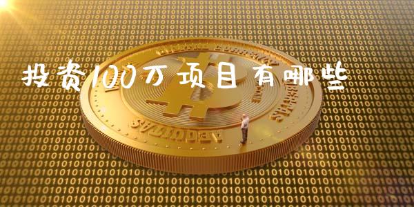 投资100万项目有哪些_https://cj004.lansai.wang_金融监管_第1张