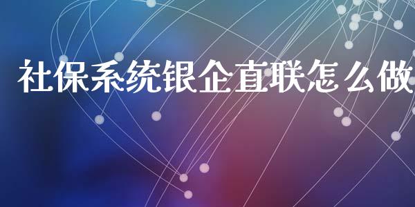 社保系统银企直联怎么做_https://cj004.lansai.wang_金融监管_第1张