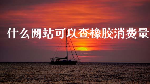 什么网站可以查橡胶消费量_https://cj004.lansai.wang_外汇交易_第1张