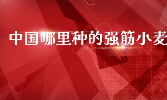 中国哪里种的强筋小麦_https://cj004.lansai.wang_财经新闻_第1张