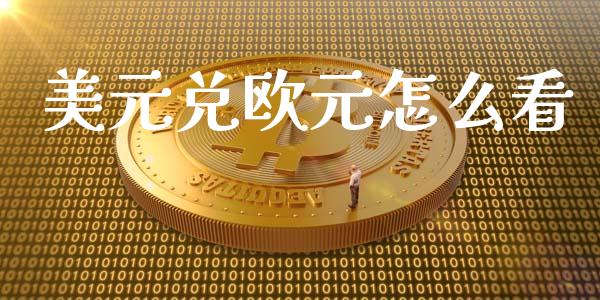 美元兑欧元怎么看_https://cj004.lansai.wang_全球市场_第1张