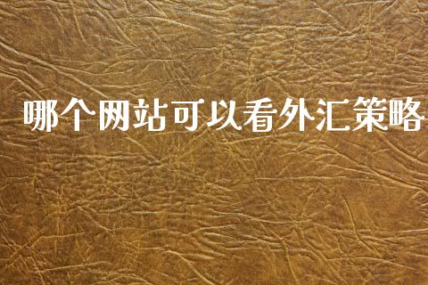 哪个网站可以看外汇策略_https://cj004.lansai.wang_期货开户_第1张