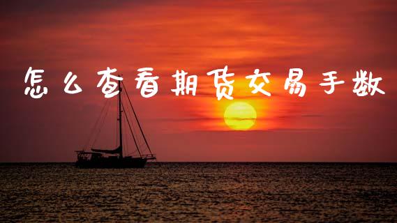 怎么查看期货交易手数_https://cj004.lansai.wang_金融监管_第1张