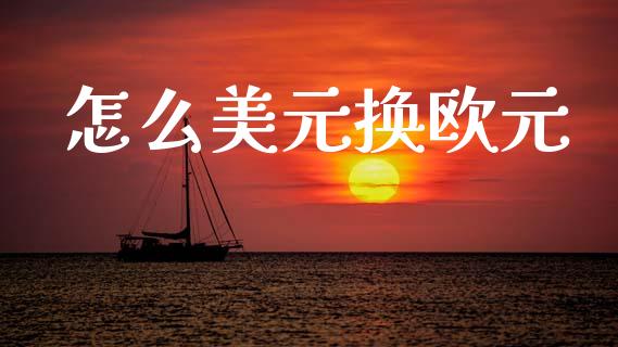 怎么美元换欧元_https://cj004.lansai.wang_全球市场_第1张