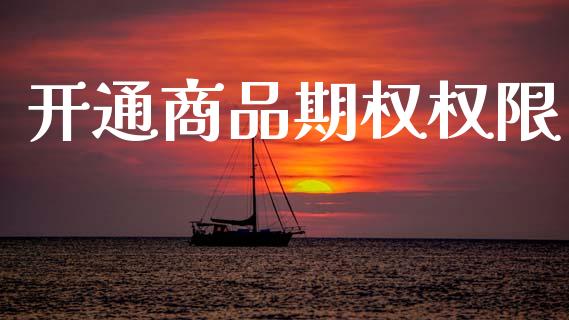 开通商品期权权限_https://cj004.lansai.wang_全球市场_第1张