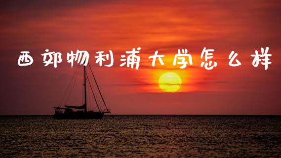 西郊物利浦大学怎么样_https://cj004.lansai.wang_全球市场_第1张