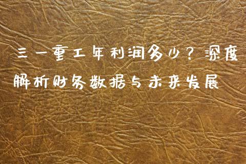 三一重工年利润多少？深度解析财务数据与未来发展_https://cj004.lansai.wang_外汇交易_第1张