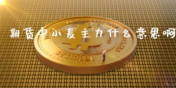 期货中小麦主力什么意思啊_https://cj004.lansai.wang_全球市场_第1张