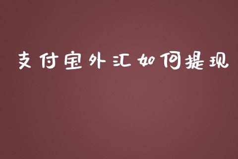 支付宝外汇如何提现_https://cj004.lansai.wang_期货开户_第1张