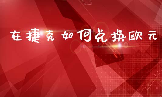 在捷克如何兑换欧元_https://cj004.lansai.wang_期货开户_第1张