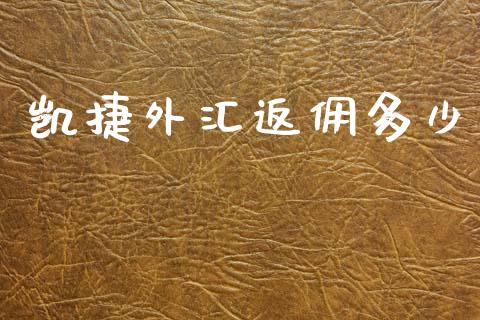 凯捷外汇返佣多少_https://cj004.lansai.wang_债券资讯_第1张