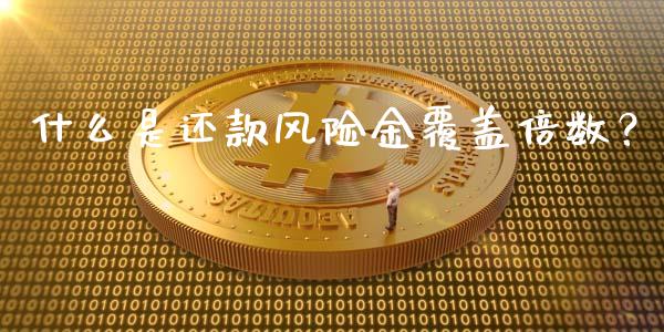 什么是还款风险金覆盖倍数？_https://cj004.lansai.wang_全球市场_第1张