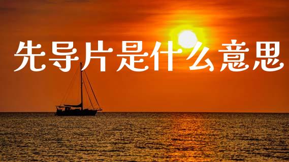 先导片是什么意思_https://cj004.lansai.wang_外汇交易_第1张