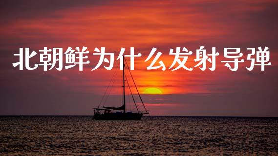 北朝鲜为什么发射导弹_https://cj004.lansai.wang_期货开户_第1张