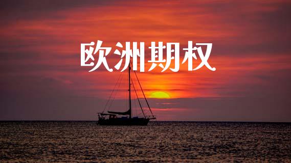 欧洲期权_https://cj004.lansai.wang_全球市场_第1张