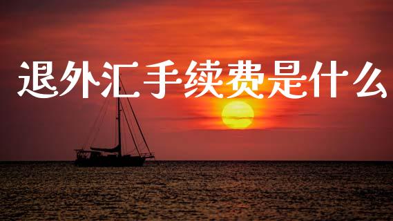 退外汇手续费是什么_https://cj004.lansai.wang_财经新闻_第1张