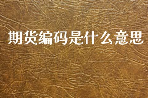 期货编码是什么意思_https://cj004.lansai.wang_财经新闻_第1张