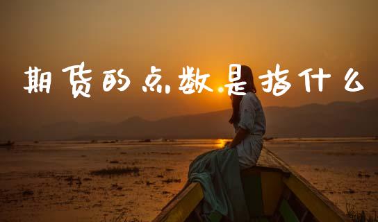 期货的点数是指什么_https://cj004.lansai.wang_外汇交易_第1张
