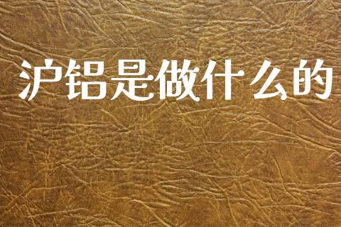 沪铝是做什么的_https://cj004.lansai.wang_外汇交易_第1张