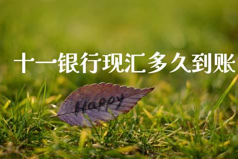 十一银行现汇多久到账_https://cj004.lansai.wang_外汇交易_第1张
