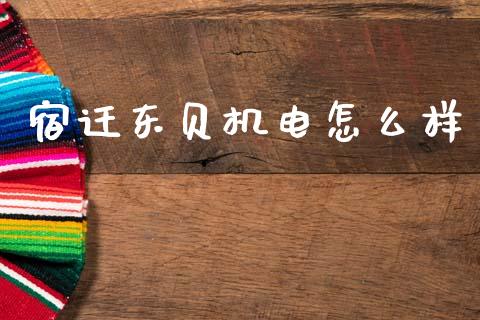 宿迁东贝机电怎么样_https://cj004.lansai.wang_外汇交易_第1张