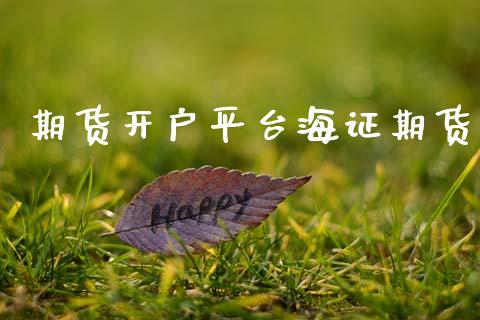 期货开户平台海证期货_https://cj004.lansai.wang_外汇交易_第1张