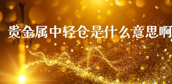 贵金属中轻仓是什么意思啊_https://cj004.lansai.wang_债券资讯_第1张