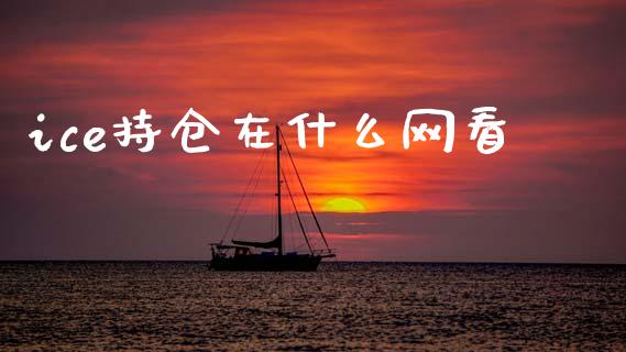 ice持仓在什么网看_https://cj004.lansai.wang_财经新闻_第1张