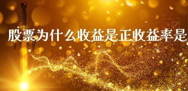 股票为什么收益是正收益率是_https://cj004.lansai.wang_外汇交易_第1张