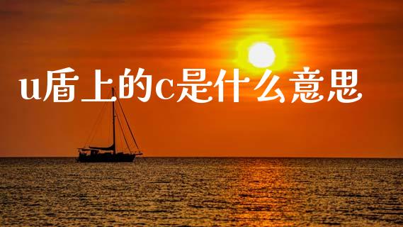u盾上的c是什么意思_https://cj004.lansai.wang_金融监管_第1张