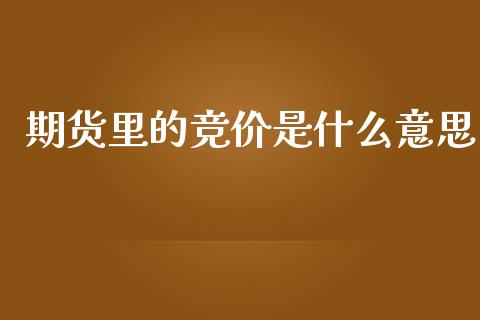 期货里的竞价是什么意思_https://cj004.lansai.wang_金融监管_第1张