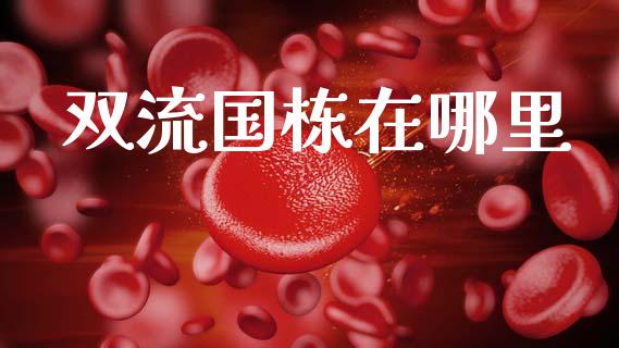 双流国栋在哪里_https://cj004.lansai.wang_财经新闻_第1张