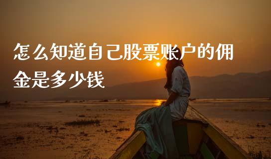 怎么知道自己股票账户的佣金是多少钱_https://cj004.lansai.wang_全球市场_第1张