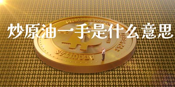 炒原油一手是什么意思_https://cj004.lansai.wang_外汇交易_第1张