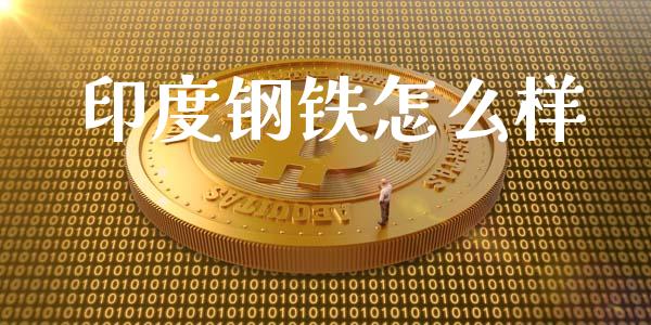 印度钢铁怎么样_https://cj004.lansai.wang_期货开户_第1张